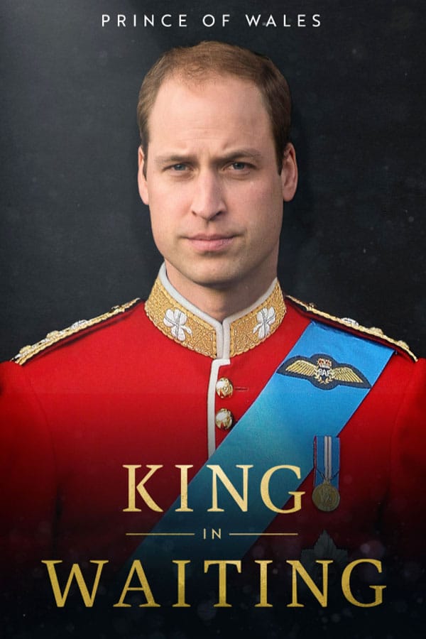 Prince Of Wales: King In Waiting